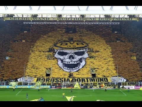 شاهد أرقام الملاعب تعتبر أأن الجمهور هو اللاعب رقم 1