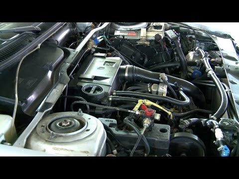 حلم يقود سيارة الزركاني نحو الدول العربية ثم العالم