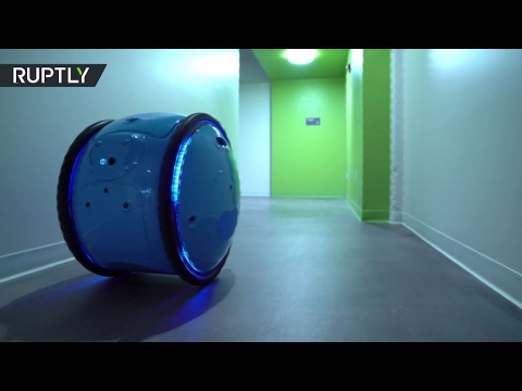 ابتكار روبوت متخصص في نقل أغراض مالكه