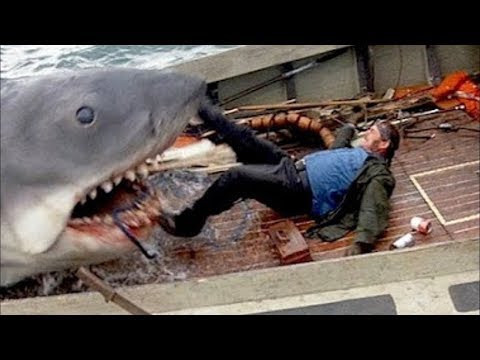 أشرس 5 حيوانات هجمت البشر وتم إنقاذهم بأعجوبة