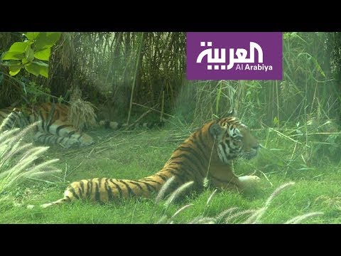 في ظل الوضع الراهن