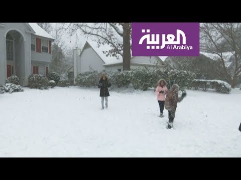 شاهد ولاية فلوريدا تشهد طقسا لم تشهده منذ نحو ثلاثين عاماشاهد ولاية فلوريدا تشهد طقسا لم تشهده منذ نحو ثلاثين عاما