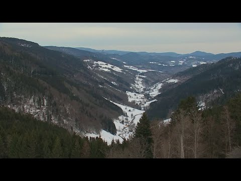 الخط الأزرق لإقليم فوج تاريخ عريق وذاكرة تأبى النسيان