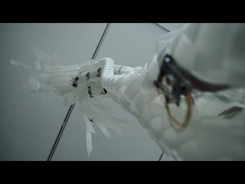 روبوتات ونباتات لتشييد مدن المستقبل