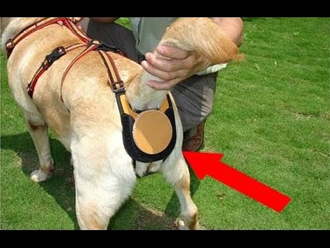 5 اختراعات مجنونة عليك معرفتهم