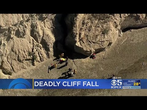 رجل يدفع حياته ثمنًا لإنقاذ كلبه