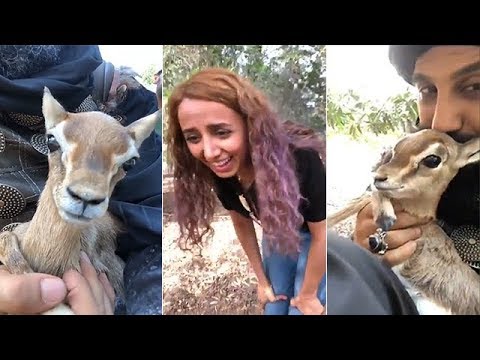 قصي خولي مع صغير الغزال