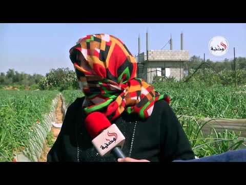 عش مع الكادحات في غزة