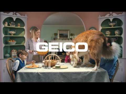 كلب شره يلتهم طعام الأسرة المتجمد