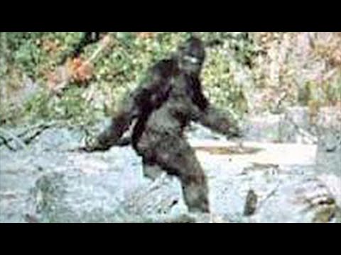 أبرز 10 ظواهر غريبة حيرت العلماء