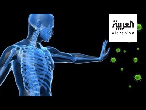 دراسة مٌخيّبة للآمال بشأن الأجسام المضادة لـكورونا
