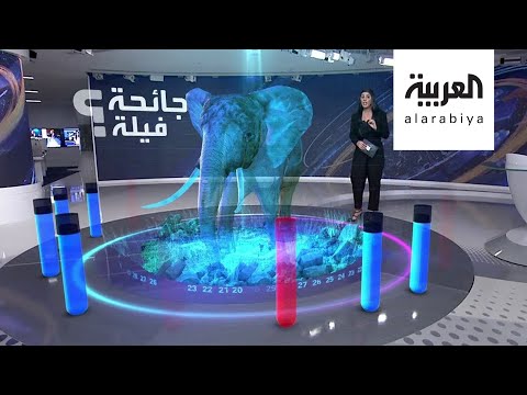 مرض غامض بين الفيلة يقتل العشرات من الطيب العملاق في بوتسوانا