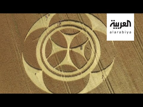 دائرة غامضة في حقل قمح في فرنسا فما السر