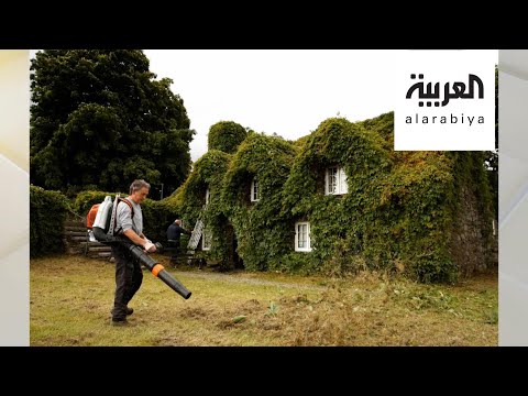 تخلص من حشرات حديقتك بطرق طبيعية