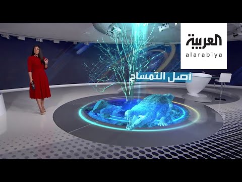 جمجمة لتمساح عمرها 7 ملايين سنة تعيد أصله من أميركا إلى ليبيا