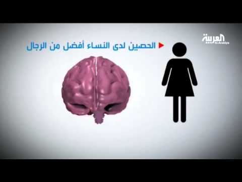 الفرق في القدرات العقلية بين الرجل والمرأة