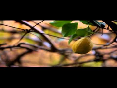 إعلان فيلم الهجرة الأخيرة