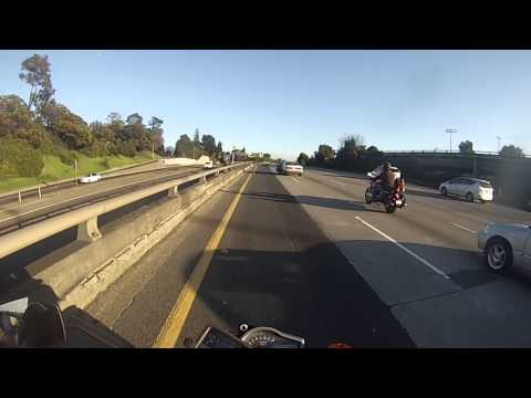 حفلة سيارات لإنقاذ كلب يرفض يد العون