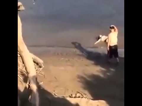 مأساة فتاة أخطأت أثناء قفزها في المياه