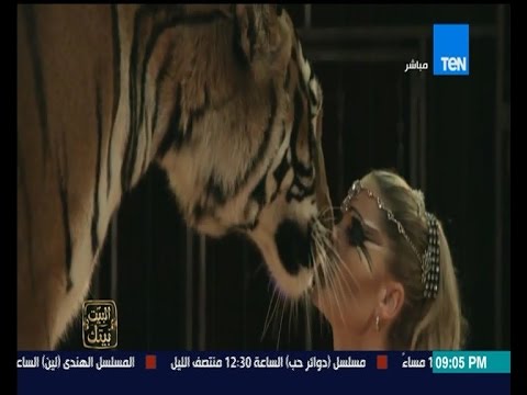 رد فعل مذيعة الإعلامية انجي على أجرأ فتاة تقبل أسدًا