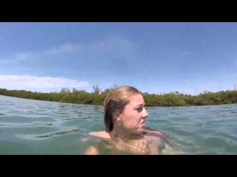 فتاة تصاب بالهلع بعد سباحة خروف بحر بجوارها