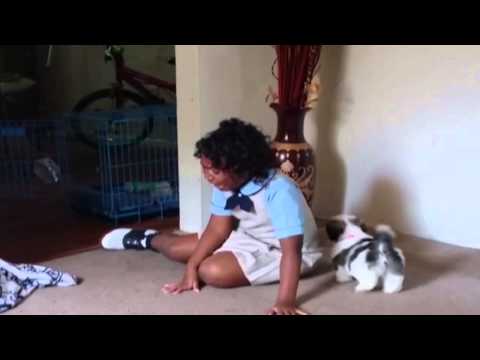 طفلة تبكي بهستيريا بعد تلقيها هدية أحلامها