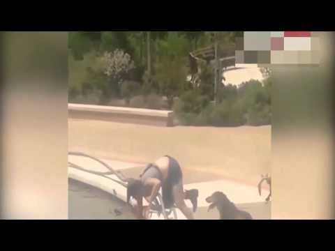 فتاة تكشف حقيقة ظهورها بـطوق كلب