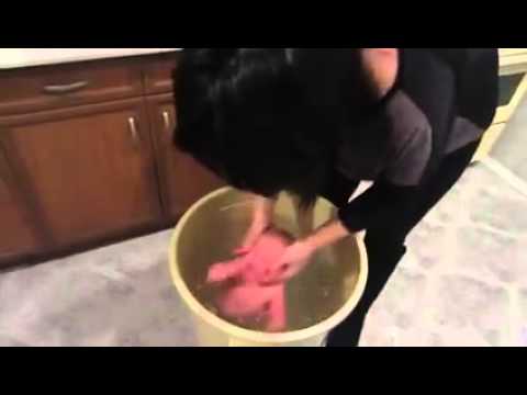 خادمة تعذب رضيعًا بطريقة وحشية ولا إنسانية