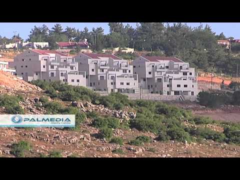 تجريف أراضي وخلع أشجار الزيتون في قرية وادي فوكين