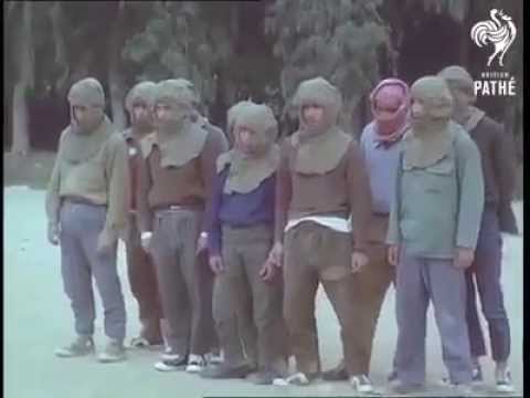 لقطات من معسكر تدريب للفلسطينيين