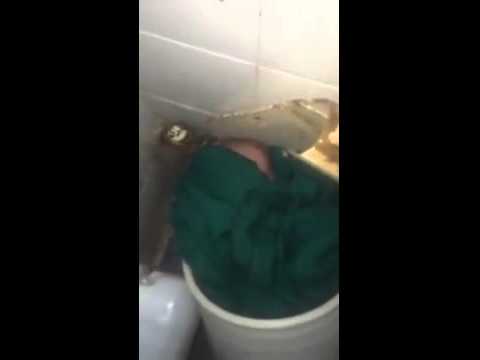 لحظة العثور على رضيع في حمام مستشفى