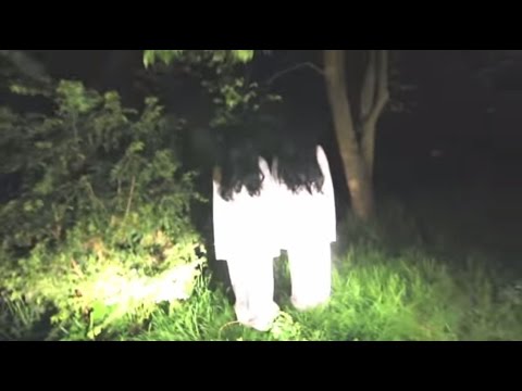 أكثر المقالب المرعبة في العالم