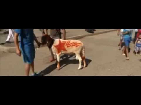 آخر صيحات الموضة في عالم تسريحات الكباش