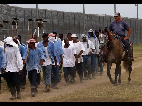 312 مليون شخص واقعين في براثن العبودية
