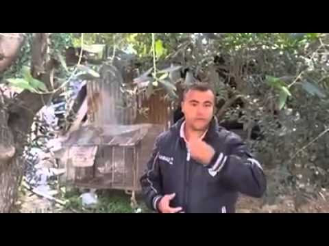 قصة مسنة شربت من يد إسرائيلي