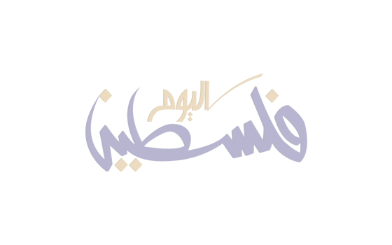 تشيلسي الإنجليزي